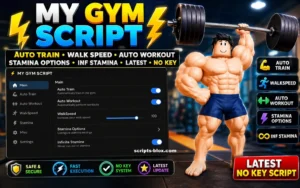 My Gym Script